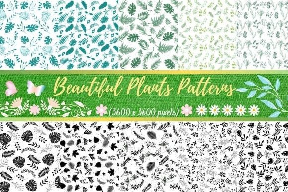 Beautiful Plants Patterns